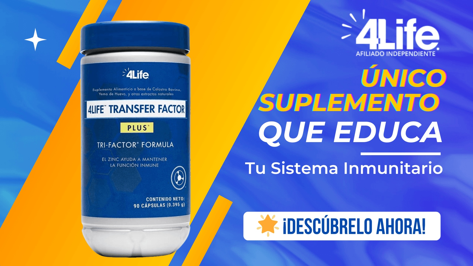 Qué son los Factores de Transferencia